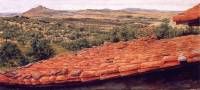 Spanish tiles. ANF Project Extremadura Spain 1993. Oil on board 21 x 42 cm.  » Click to zoom ->