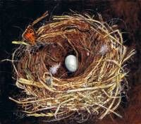 Nest Black redstart, Oil on board, 13 x 17 cm. 2007.  » Click to zoom ->